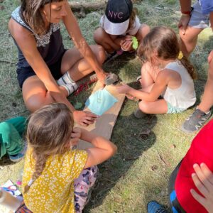 0807Tataki Zomé ALaurioux