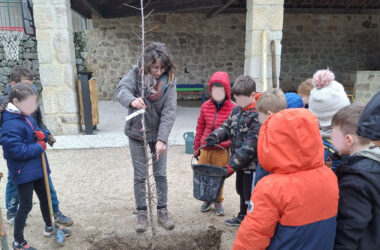 Végétalisation des lieux éducatifs