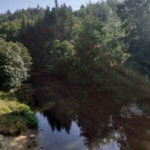 15 aout photo lignon SG