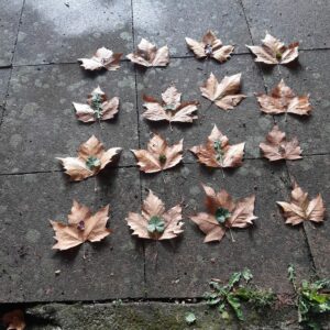 18aout Planèteenjeu