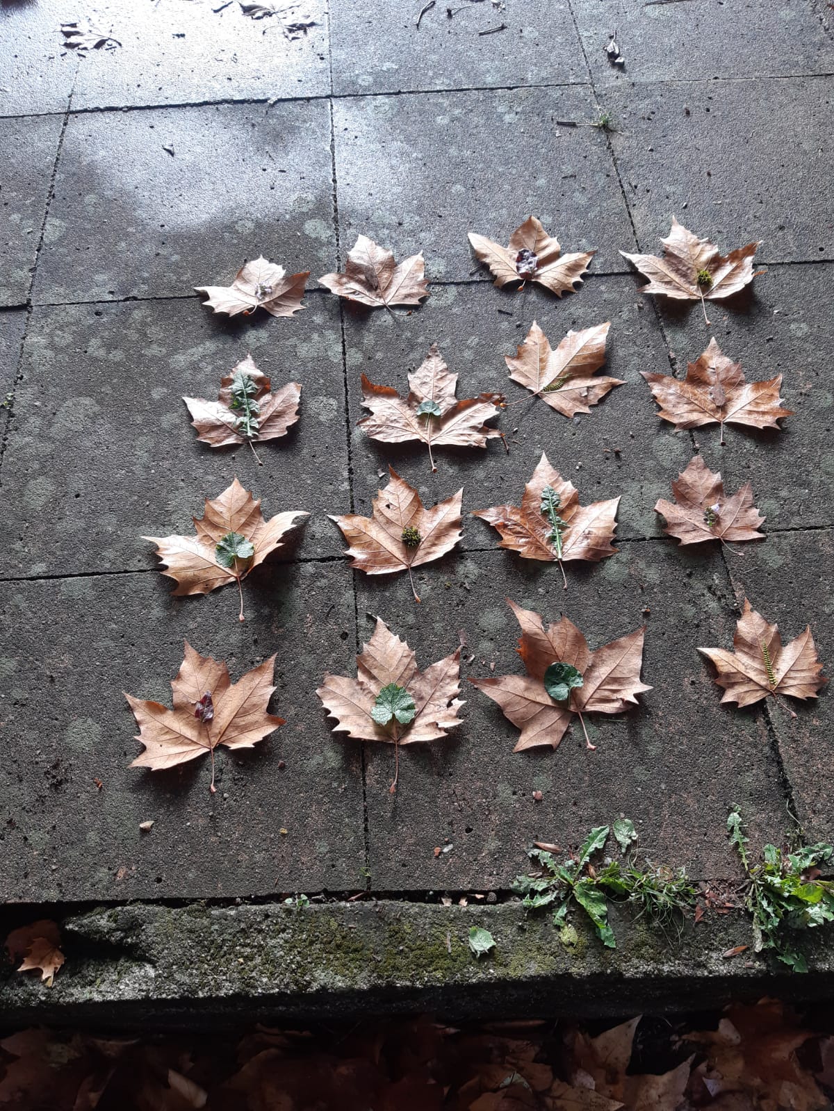 18aout Planèteenjeu