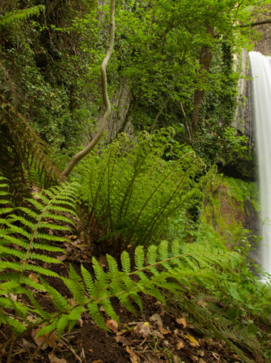Le Château de Pourcheyrolles