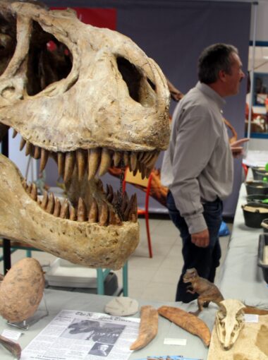 Les acteurs de la géologie