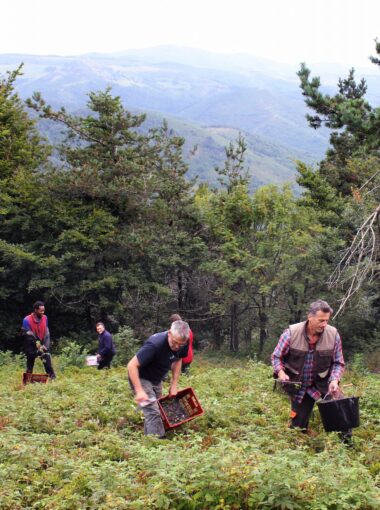 Les produits des Monts d’Ardèche