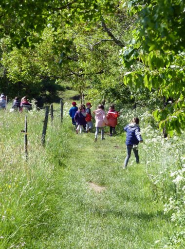 Les ateliers pédagogiques à la Maison du Parc