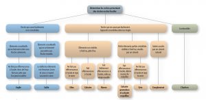 Grille de détermination des roches du Géopark des monts d’Ardèche