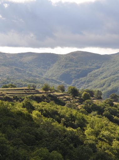 Le site Natura 2000 et ENS  « Vallée de l’Eyrieux et ses affluents »  –  « Boutières »
