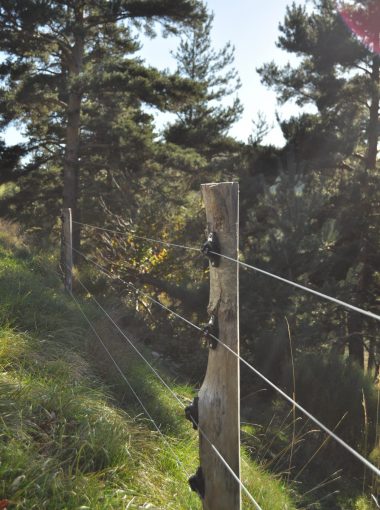 Natura 2000, comment ça marche ?