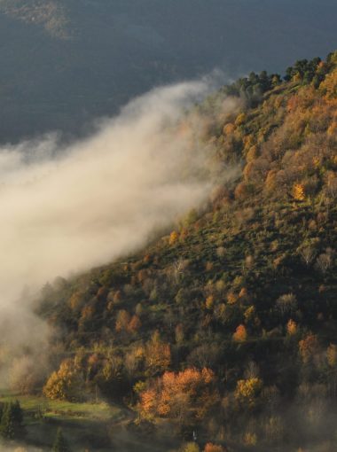 Natura 2000 et les ENS dans le Parc des Monts d’Ardèche