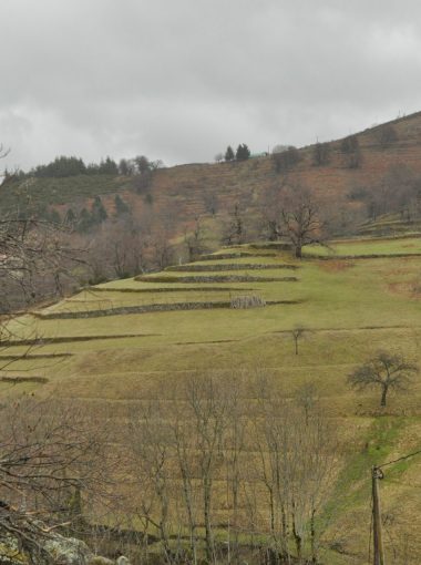 Natura 2000 et ENS, Quésaco ?