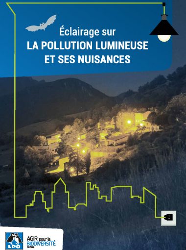 Éclairage sur la pollution lumineuse et ses nuisances