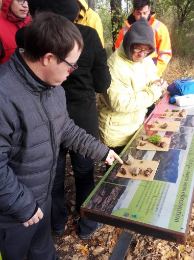 Publics en situation de handicaps ou d’insertion sociale