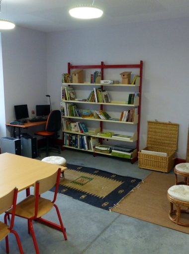 Grandes thématiques Coups de pousse et ressources pédagogiques