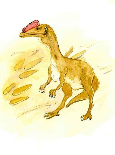 Thématique :  Géoparc