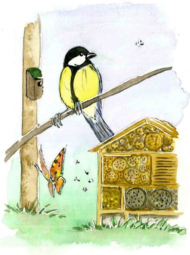 Biodiversité et milieux naturels