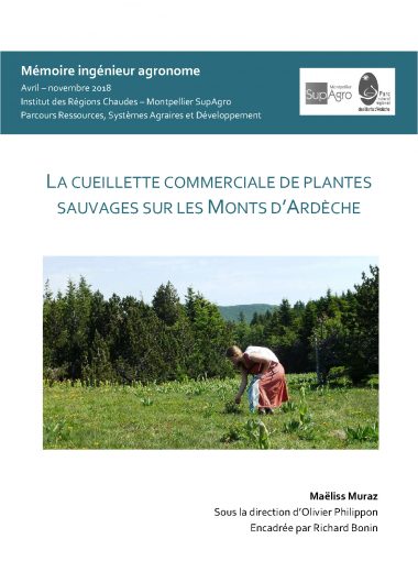 Rapport Cueillette des plantes sauvages Monts d’Ardèche