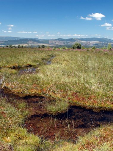 Les tourbières