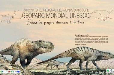 Suivez les premiers dinosaures à la trace