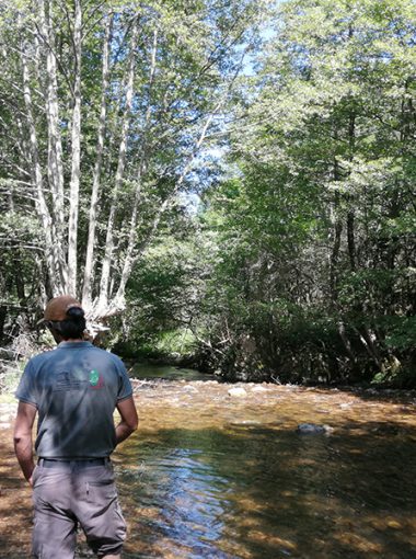 PIEDS DANS LE PARC juin 2020