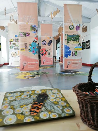 Expos et animations à la Maison du Parc 2025