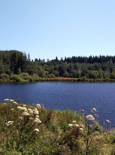 Le site Natura 2000 « Tourbières du plateau de St Agrève »