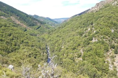 A la découverte de la Thines