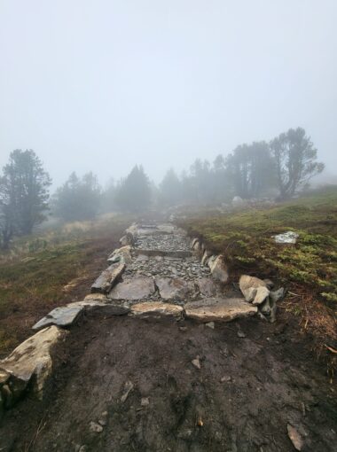 Pieds dans le Parc Novembre 2022 – Restauration des sentier du Mézenc