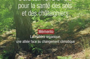 Un Memento sur les sols des châtaigneraies