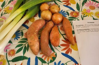 Conseil local de l’alimentation et Cuisines Nourricières