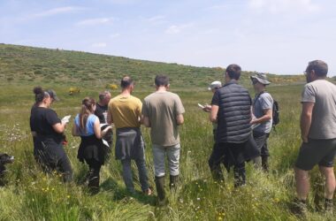 Formation prairies fleuries pour les agriculteurs engagés dans les mesures agri-environnementales.