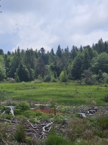 Le site Natura 2000 « Loire et ses affluents »