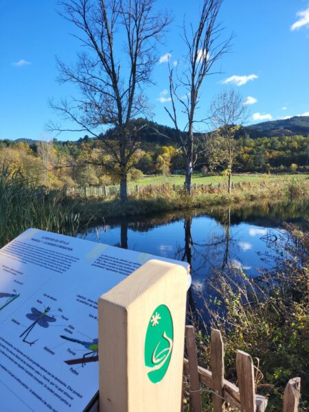 Image du Bassin sur le sentier qui pétille