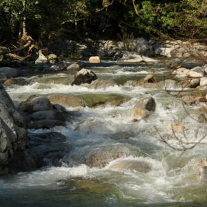22juillet LarivièreGluèyre GC