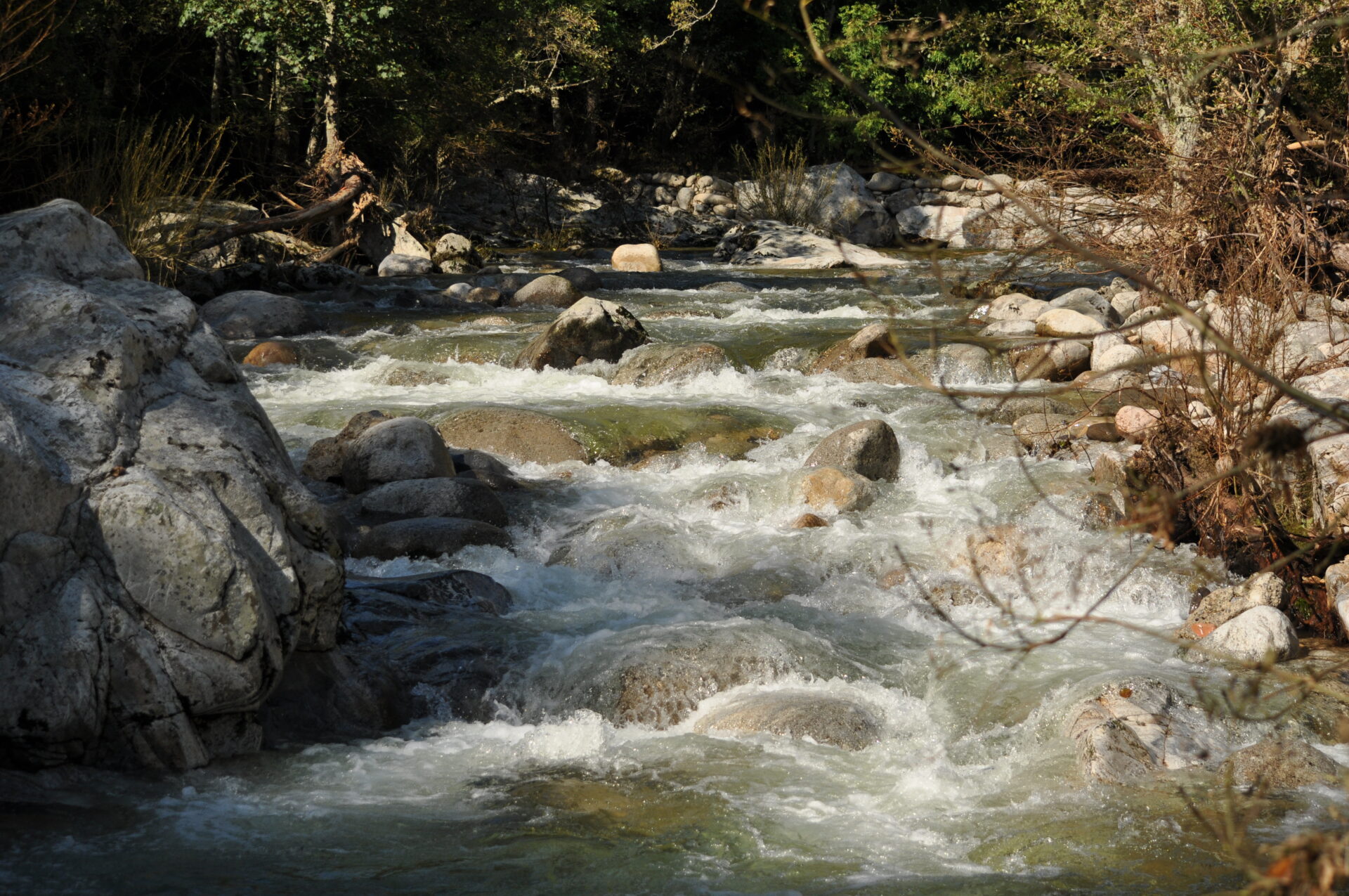 22juillet LarivièreGluèyre GC