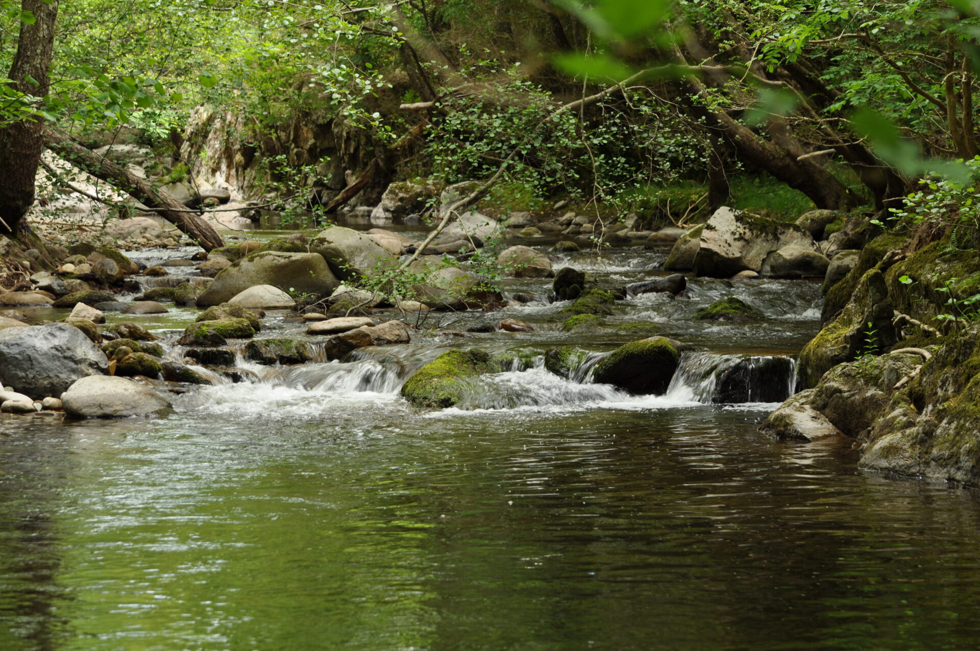 La vie d'un cours d'eau