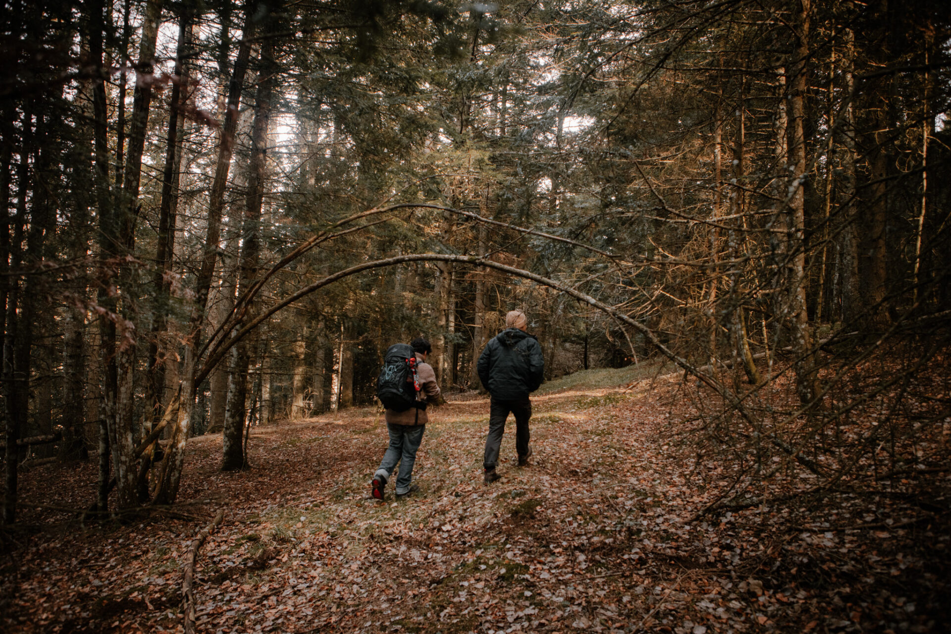 27 sept 20240128 ENV FORET debardage chantier forestier association sous lou boes chaudeyrolles marie julliard hans lucas 191