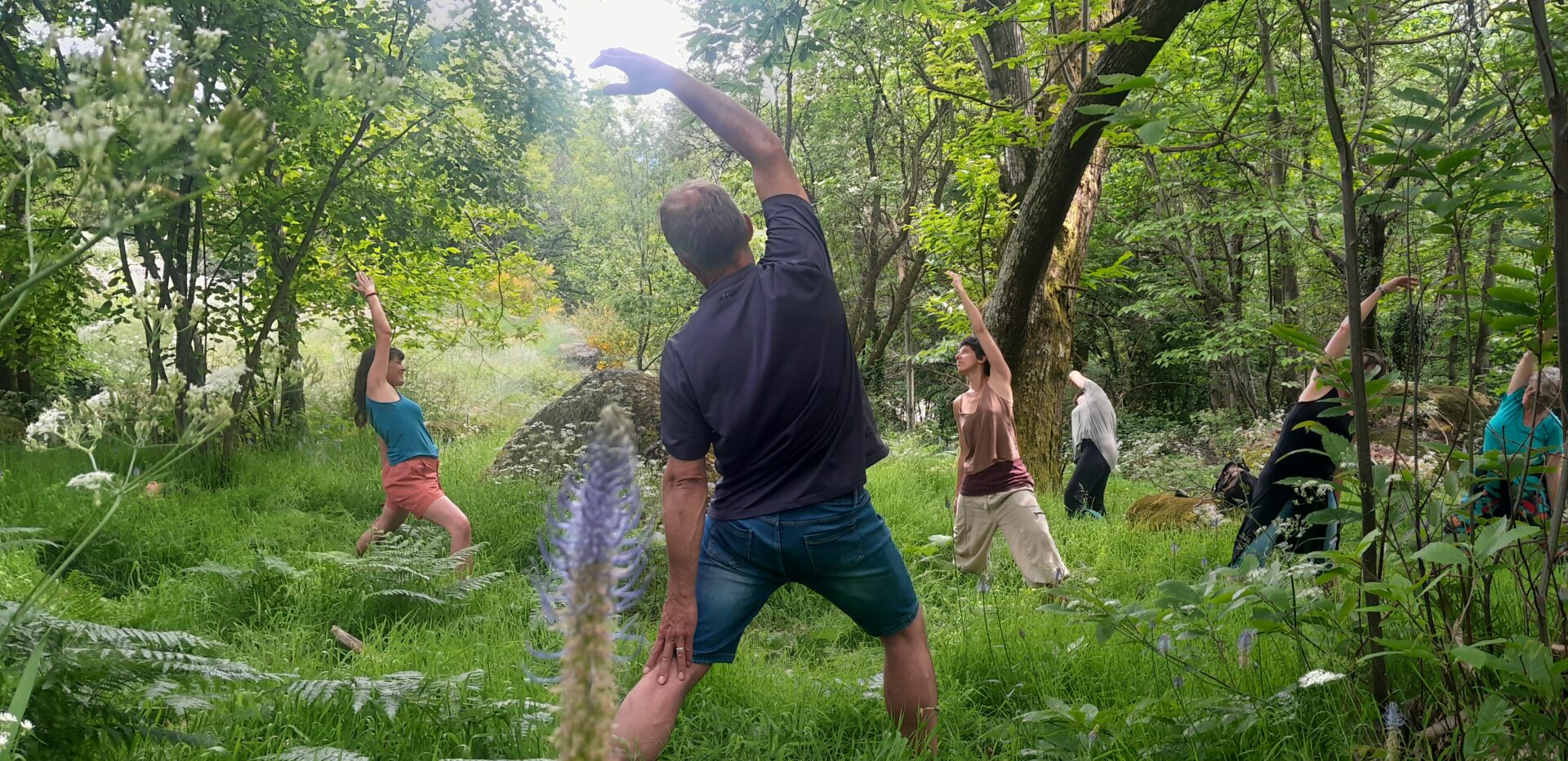 30 07 yoga nature Olivier Peyronnel