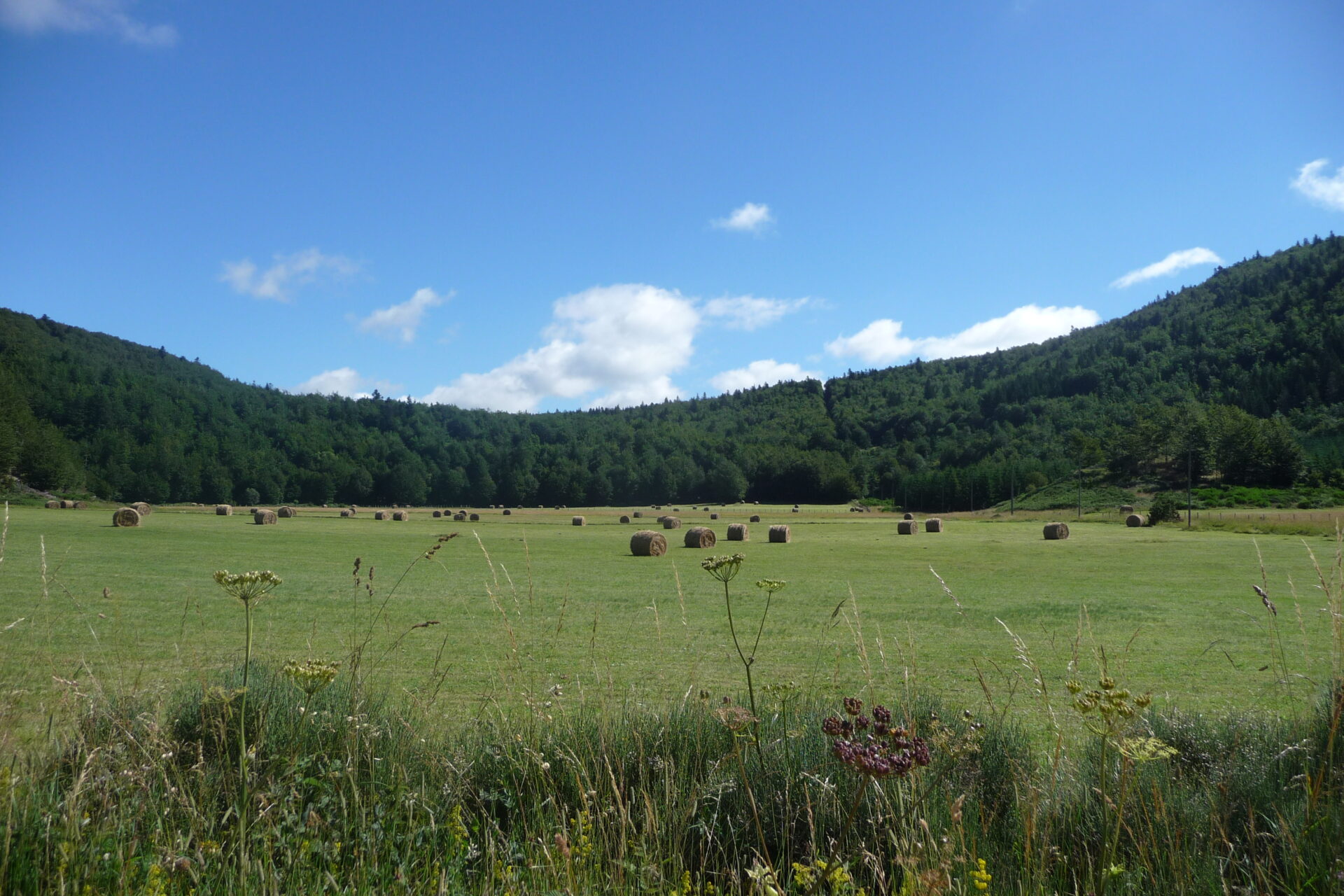 4 juillet vestide du Pal le cratère de maar N Klee