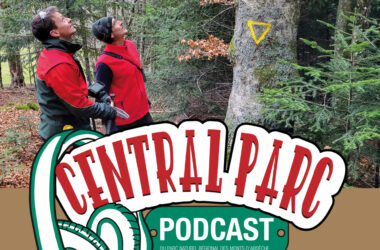 S01E02 – Mais pourquoi frapper ces arbres ?