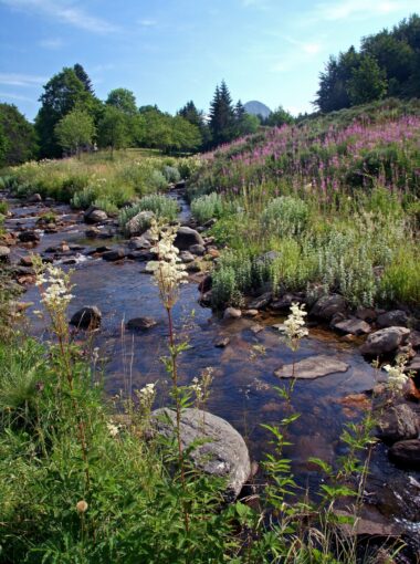 1/ Préserver la biodiversité