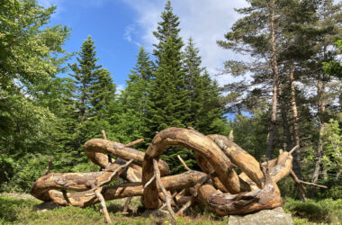 Inauguration d’Ouroboros,la 8ème œuvre du PARTAGE DES EAUX