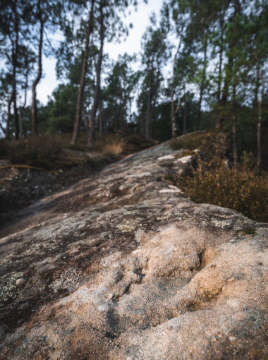 Les sites sédimentaires et fossilifères