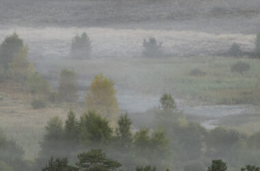 « L’eau à la source, tourbières des Monts d’Ardèche» un film de Nicolas Van Ingen.