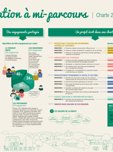 Infographie Évaluation à mi-parcours
