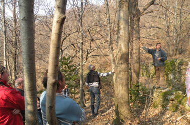 Évènement LEADER : Comment accélérer la résilience de l’agriculture et de la forêt ?
