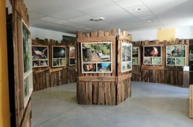 La Maison du Parc est ouverte du 17 octobre au 1er novembre.