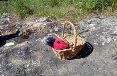 Faire l’Ecole dehors avec le Parc