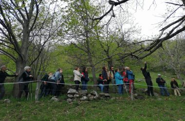 Journée « Réseaux sociaux » pour les bénéficiaires de la marque VALEURS PARC