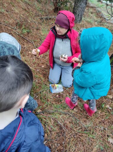 Raconte-moi l’école dehors #2 – Lentillères
