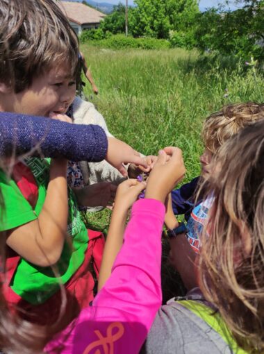 Raconte-moi l’école dehors #7 – Lablachère